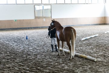 Bild 18 - Pony Akademie Turnier